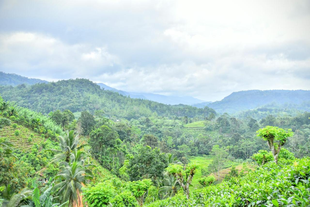 Rainforest Nature House Deniyaya Exterior foto